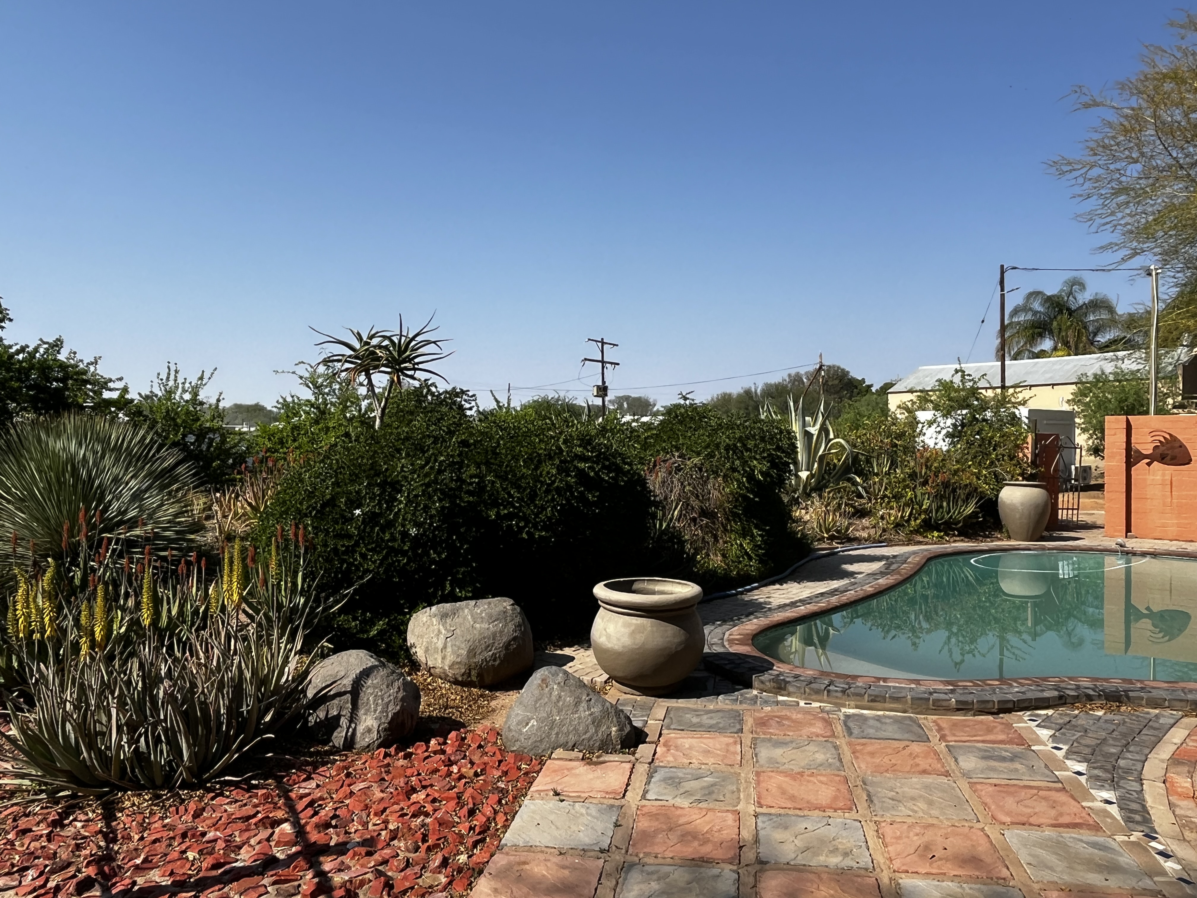 Swimming pool at Meerkat Compound
